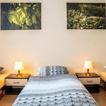 Apartamento Ve Vinařství Medek | Medek House&winery