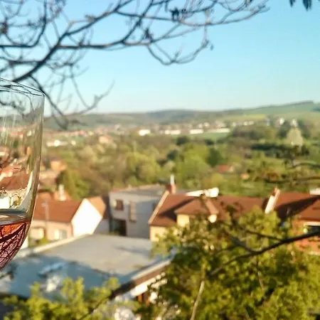 Appartement Ve Vinarstvi Medek | Medek House & Winery