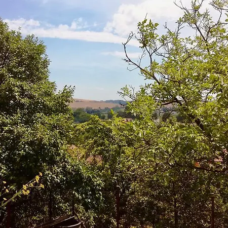 Ve Vinarstvi Medek | Medek House & Winery Appartement