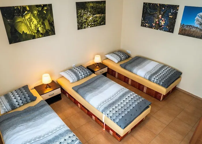 Ve Vinarstvi Medek | Medek House & Winery