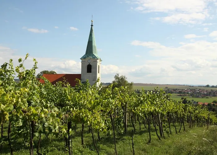 Ve Vinarstvi Medek | Medek House & Winery *