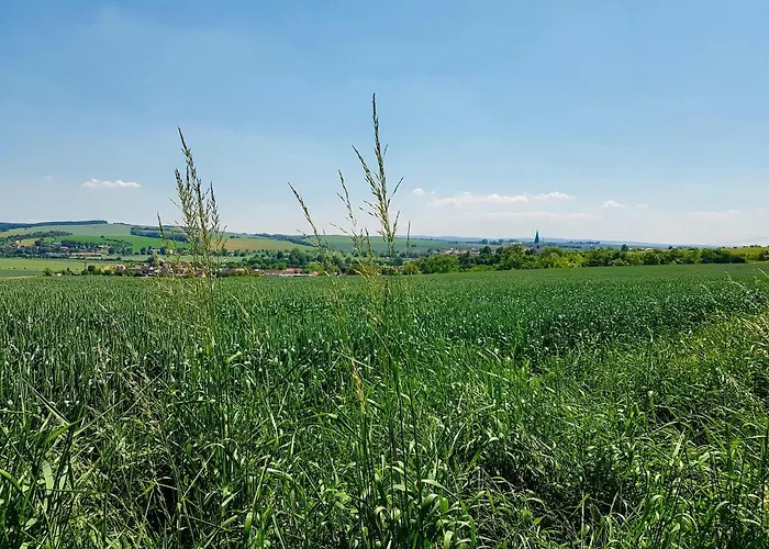 Ve Vinarstvi Medek | Medek House & Winery Апартаменты Угерске-Градиште