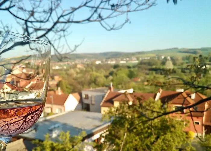 Апартаменты Ve Vinarstvi Medek | Medek House & Winery