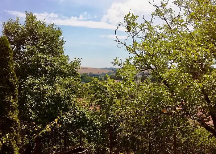 Ve Vinarstvi Medek | Medek House & Winery Апартаменты