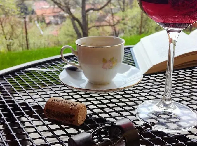 Апартаменты Ve Vinarstvi Medek | Medek House & Winery *
